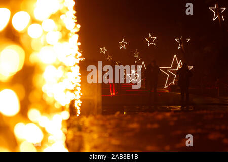 Berlin, Deutschland. 22 Nov, 2019. 22.11.2019, Berlin: Besucher im Tierpark Berlin in weihnachtliche Stimmung Quelle: Georg Wenzel/dpa-Zentralbild/ZB/dpa/Alamy leben Nachrichten Stockfoto