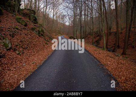 Neue asphaltierte Straße im Tal, Slowakei Stockfoto