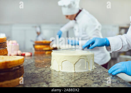 Hände Konditor spreads Vanillepudding auf einem weißen Kuchen auf dem Tisch in der Konditorei. Stockfoto