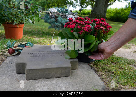 La Cambe (Normandie, Frankreich): Deutscher Soldatenfriedhof. Grab von Michael Wittmann, Block 47, Reihe 3, Grab 120. Michael Wittmann wurde zum Kult f Stockfoto