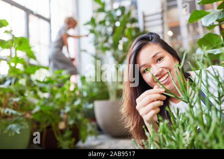 Lächelnden jungen Floristen, die Pflege der Pflanzen im Garten Center Stockfoto