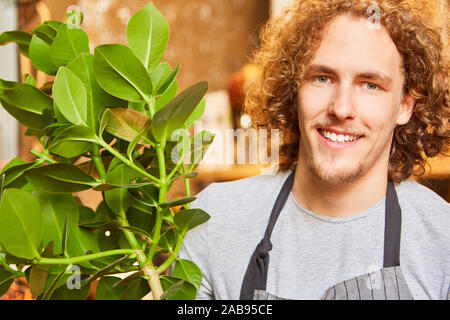 Junge Floristen eine grüne Pflanze als Kundenservice Stockfoto