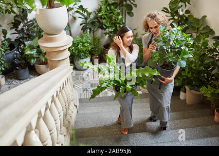 Zwei Floristen von Eventfloristik liefern grüne Pflanzen als Dekoration für ein Ereignis Stockfoto