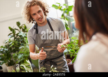 Blumenhändler in Ausbildung Schnitte Blume beim Binden Bouquet Stockfoto