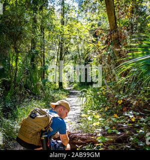 Cooles Bild von einem Freund in den Wald! Stockfoto