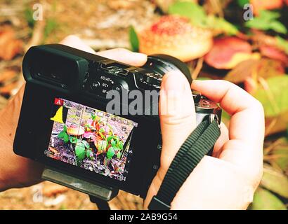 Digitalkamera in die Hände auf blur Blatt hintergrund unter Foto für Blätter im Herbst im Garten Stockfoto