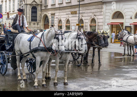 Pferd und Wagen, St.-Stephans-Kirche in Stephansplatz, Wien, Österreich, Europa. Stockfoto