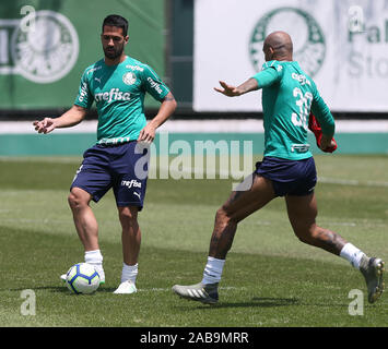 Sao Paulo, Brasilien. 26. Nov 2019. SÃO PAULO, SP - 26.11.2019: TREINO TUN PALMEIRAS-SE Palmeiras player Luan während der Ausbildung an der Fußball-Akademie. (Foto: Cesar Greco/Fotoarena) Credit: Foto Arena LTDA/Alamy leben Nachrichten Stockfoto