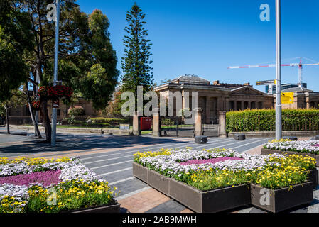 Blumenbeete bei Taylor Square in der Oxford Street in der Innenstadt Vorort von Darlinghurst, Sydney, Australien Stockfoto