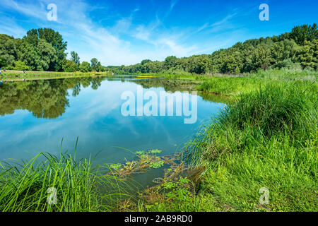 Donau Rückstau in Gemenc Wald im Nationalpark Donau-Drau Ungarn Stockfoto