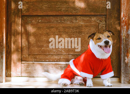 Zur Weihnachtsfeier Konzept mit glücklicher Hund tragen Santa Claus Kostüm wartet vor der Tür Willkommen Stockfoto