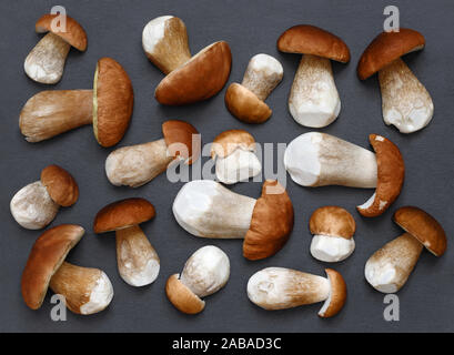 Essen Hintergrund. Boletus edulis, Cep, porcino, Steinpilze, Penny bun, Steinpilze, Cepe. Geschälte frische Pilze auf dem grauen Stein Schneidebrett. Pilze b Stockfoto