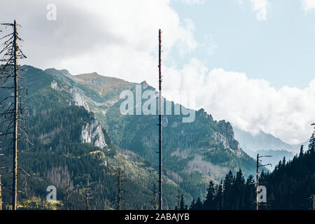 Blick auf die Berge der Tatra im sonnigen Tag Stockfoto