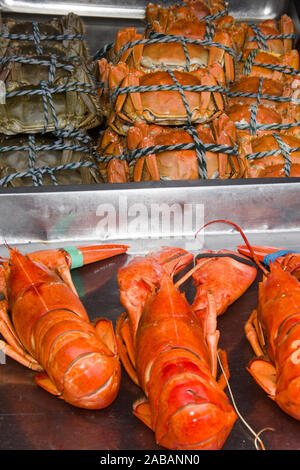 Marktstand mit Hummer und Krabben in Shanghai, Asien, China Stockfoto