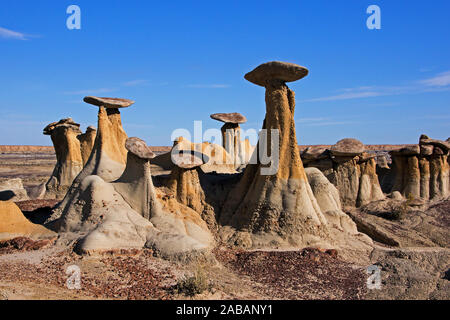 - Ah-Shi Sle-Pah Wildnis Studie in Nedw Mwxico, Nordamerika Stockfoto