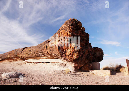 Der Petrified-Forest-Nationalpark ist ein Nationalpark der Vereinigten Staaten im Nordosten Arizonas. Stockfoto