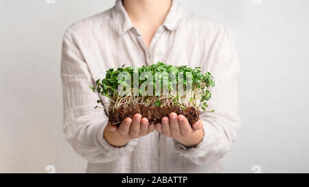 Frau mit Eco microgreens auf weißem Hintergrund Stockfoto