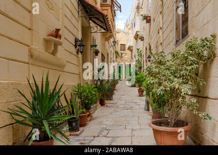 Gasse in Portomaso, Malta, mit Blumen in Töpfe Stockfoto