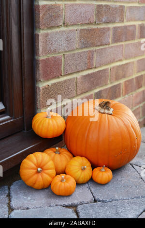 Sammlung von mini Kürbisse und eine grosse orange Kürbis auf eine Tür als Danksagung Dekoration Stockfoto