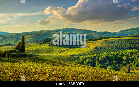 Panzano in Chianti Weinberg und Panorama bei Sonnenuntergang im Herbst. Toskana, Italien Europa. Stockfoto