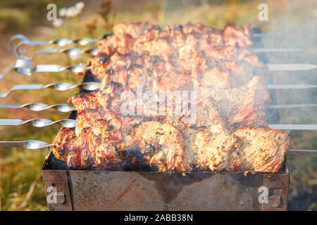 Kochen Grill Spieße. Marinierte Kebab ist auf Holzkohle gegrillt. Shish Kebab wurde von Lamm, Schwein, Rindfleisch, Huhn Stockfoto