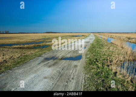 Unbefestigte Straße und Pfützen nach Regen, Horizont und blauer Himmel Stockfoto