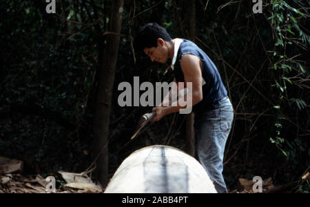 Eine junge, einheimische Cocama Mann lebt mit einer Axt Kanus aus Baumstämmen in seinem abgelegenen Dorf in den peruanischen Amazonas Becken zu machen. Stockfoto