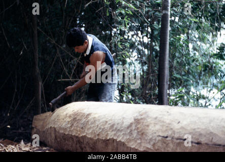 Eine junge, einheimische Cocama Mann lebt mit einer Axt Kanus aus Baumstämmen in seinem abgelegenen Dorf in den peruanischen Amazonas Becken zu machen. Stockfoto