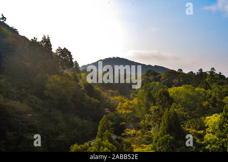 Kyoto, Japan - 10/31/19 - Die großen buddhistischen Tempel Komplex in der Innenstadt von Kyoto - Japan Stockfoto