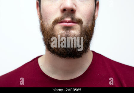 Portrait youn Mann mit unordentlichen Braun orange Bart und Schnurrbart und unordentlichen Haar. Bärtige hipster auf isolierten weißen Hintergrund mit roten Hemd auf. Stockfoto