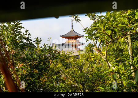 Kyoto, Japan - 10/31/19 - Die großen buddhistischen Tempel Komplex in der Innenstadt von Kyoto - Japan Stockfoto