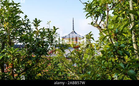 Kyoto, Japan - 10/31/19 - Die großen buddhistischen Tempel Komplex in der Innenstadt von Kyoto - Japan Stockfoto