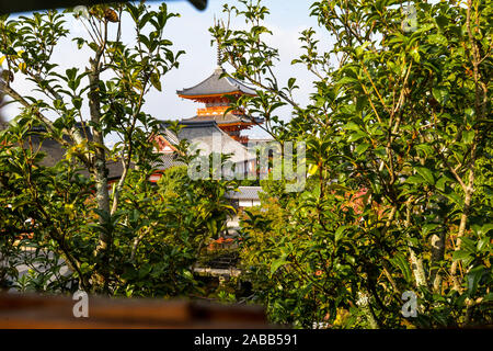 Kyoto, Japan - 10/31/19 - Die großen buddhistischen Tempel Komplex in der Innenstadt von Kyoto - Japan Stockfoto