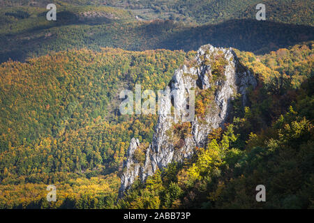 Erstaunlich, rocky, spitzen Felsen von Buchsen im Herbst Farbe und goldenen, sonnendurchflutete, Wälder Stockfoto