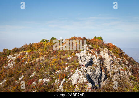 Schönen Rocky Mountain Peak durch Bäume und Büsche farbigen Herbst Farben unter einem klaren, blauen Himmel bedeckt Stockfoto