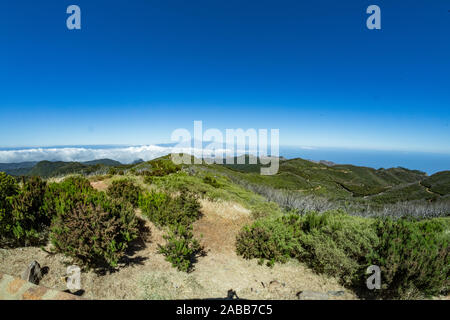 Relikt Wald an den Hängen der Berge des Nationalparks Garajonay. Riesige Lorbeeren und Baum Heidekraut entlang der schmalen, gewundenen Pfaden. Paradies Stockfoto