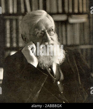 ALFRED RUSSEL WALLACE (1823-1913), britischer Naturforscher und Biologe über 1895 Stockfoto