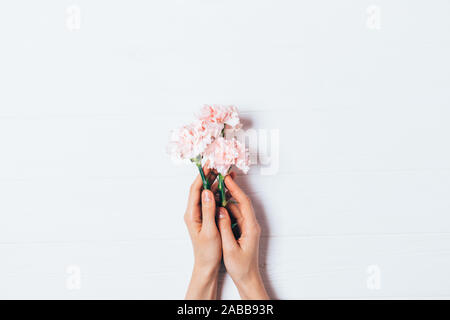 Schön zart rosa Blumen in weibliche Hände auf weißem Hintergrund, Ansicht von oben. Stockfoto