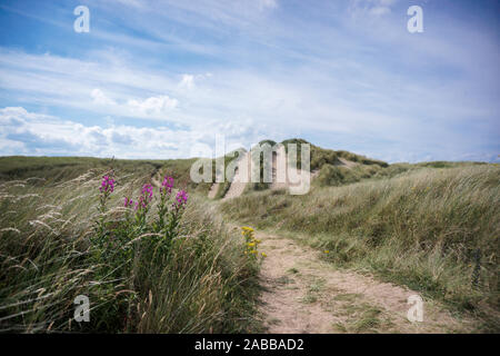 Strand Landschaft, Aberlady Bay, East Lothian, Schottland, Großbritannien Stockfoto