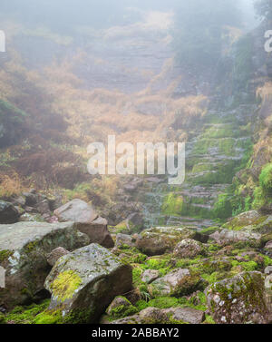 Scenic Mountain Forest Wasserfall, Rot felsigen Klippe von sonnendurchfluteten grünen Moos und dicken Nebel bedeckt Stockfoto