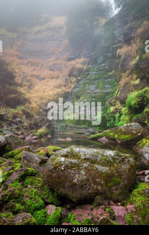 Scenic Mountain Forest Wasserfall, Rot felsigen Klippe von sonnendurchfluteten grünen Moos und dicken Nebel bedeckt Stockfoto