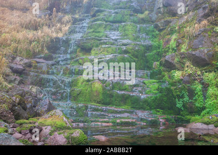 Scenic Mountain Forest Wasserfall, Rot felsigen Klippe von sonnendurchfluteten grünen Moos und dicken Nebel bedeckt Stockfoto