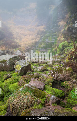 Scenic Mountain Forest Wasserfall, Rot felsigen Klippe von sonnendurchfluteten grünen Moos und dicken Nebel bedeckt Stockfoto