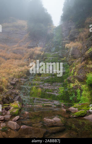 Scenic Mountain Forest Wasserfall, Rot felsigen Klippe von sonnendurchfluteten grünen Moos und dicken Nebel bedeckt Stockfoto