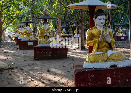 Maha Bodhi Tahtaung, einem buddhistischen Heiligen Ort berühmt für seine Tausende von Buddha-statuen in Ehrfurcht Haltungen unter Bo Bäume in Monywa, Myanmar Stockfoto