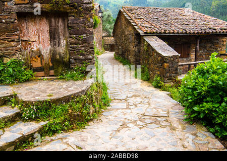 Gepflasterten Weg schlängelt sich durch rustikalen Gebäuden überwachsen mit viel Grün und Wildblumen in Talasnal, Portugal Stockfoto