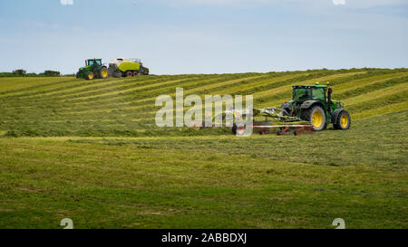 Kirwee, Canterbury, Neuseeland, 26. November 2019: Landwirtschaftliche Maschinen bei der Arbeit frisch gemähten Gras Rechen für Winter Materialzuführung Ballen gepresst werden müssen Stockfoto