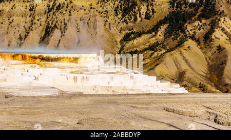 Dampf aus der blauen Mineral reichhaltiges warmes Wasser der Kanarischen Federn in den Mammoth Quellen im Yellowstone National Park, Wyoming, USA Stockfoto