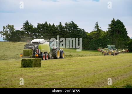 Kirwee, Canterbury, Neuseeland, 26. November 2019: Landwirtschaftliche Maschinen bei der Arbeit frisch gemähten Gras Rechen für Winter Materialzuführung Ballen gepresst werden müssen Stockfoto