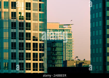 Nahaufnahme eines dichten Stadtbild von modernen Gebäuden bei Sonnenuntergang in der Innenstadt von Los Angeles, Kalifornien, USA Stockfoto